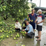 丹娜絲颱風襲台