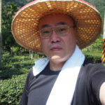 文山東方美人茶を作ったら(2)