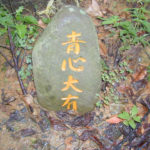 台湾茶葉の品種